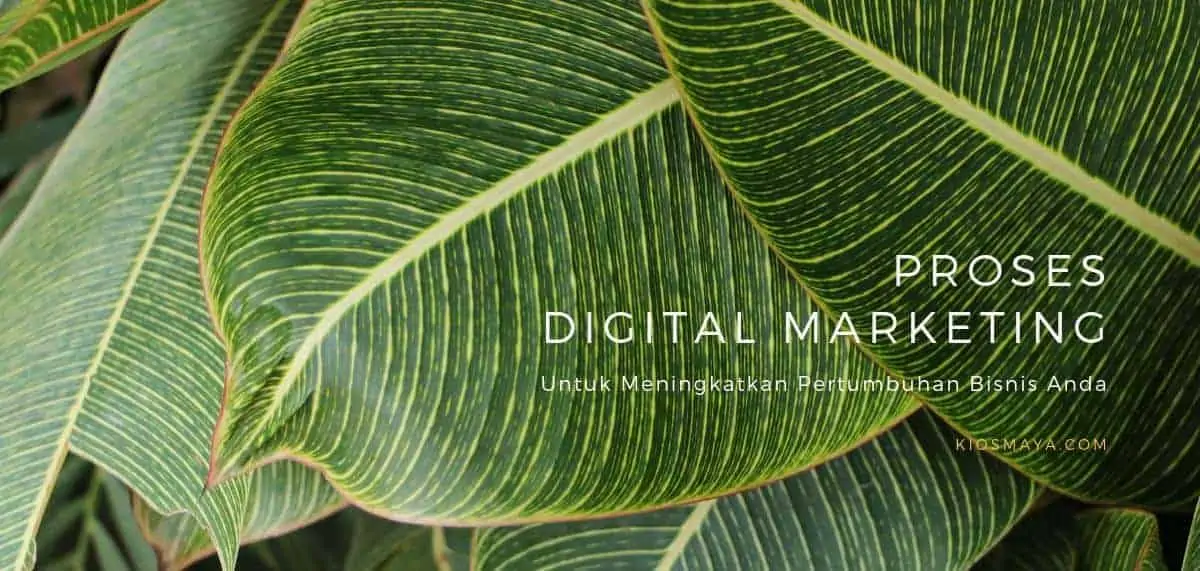 Proses Digital Marketing untuk Bisnis Proses Digital Marketing untuk Bisnis